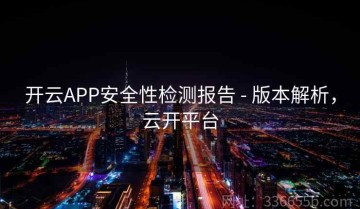 开云APP安全性检测报告 - 版本解析，云开平台