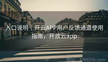 入口说明｜开云APP用户反馈通道使用指南，开放云app