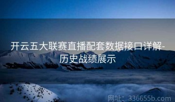 开云五大联赛直播配套数据接口详解-历史战绩展示