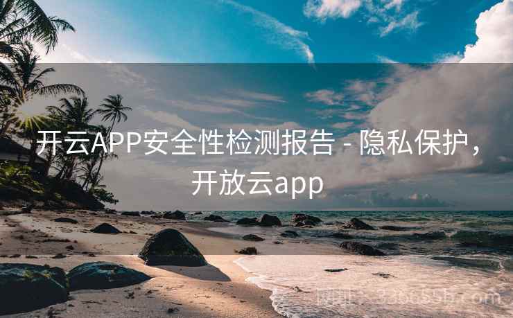开云APP安全性检测报告 - 隐私保护，开放云app
