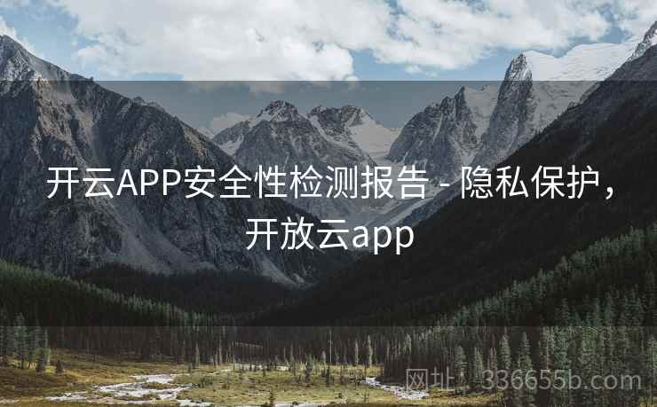 开云APP安全性检测报告 - 隐私保护，开放云app